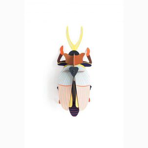 Insecto Grande Rhinoceros Beetle